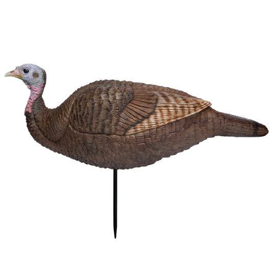 The Primos Lil Gobbstopper™ Hen & Jake Turkey Decoys feature realistic details and are perfect for hunting.