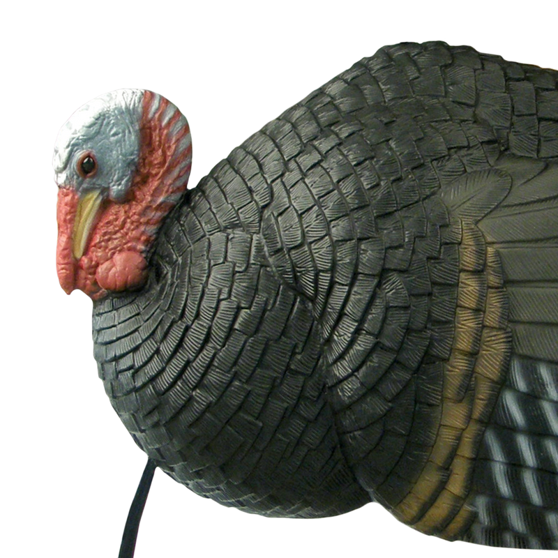 Load image into Gallery viewer, A close-up of the Primos Killer B Turkey Decoy highlights textured feathers and a red, white, and gray head.
