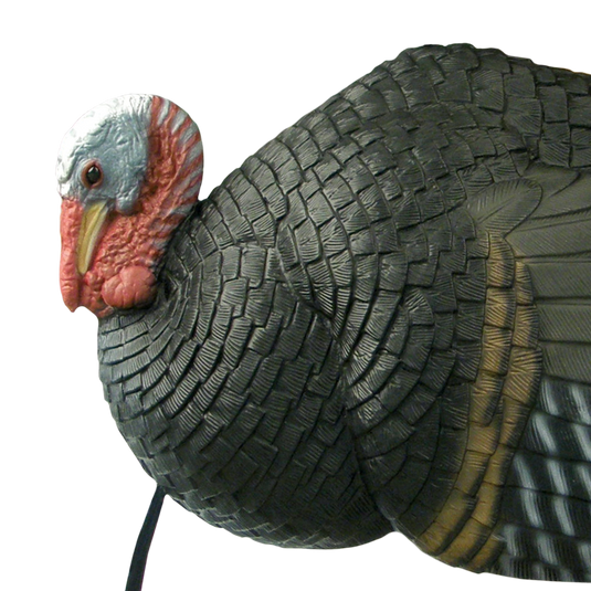 A close-up of the Primos Killer B Turkey Decoy highlights textured feathers and a red, white, and gray head.