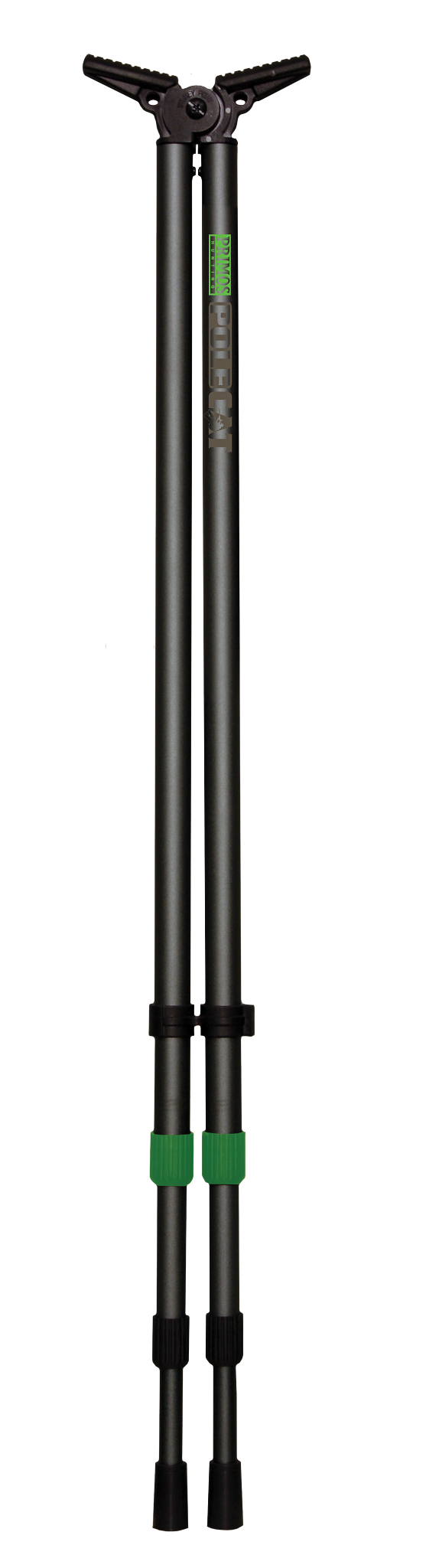 Pole Cat | Primos