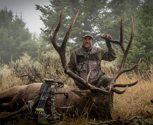 A hunter kneels beside a large elk, holding its antlers, with a compound bow resting on the animal, in a forest clearing.