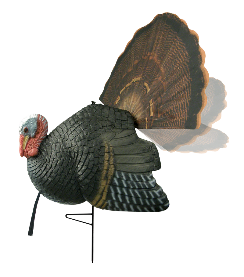 Load image into Gallery viewer, The Primos Killer B Turkey Decoy features a fan-shaped tail and metal stand, shown on a white background.
