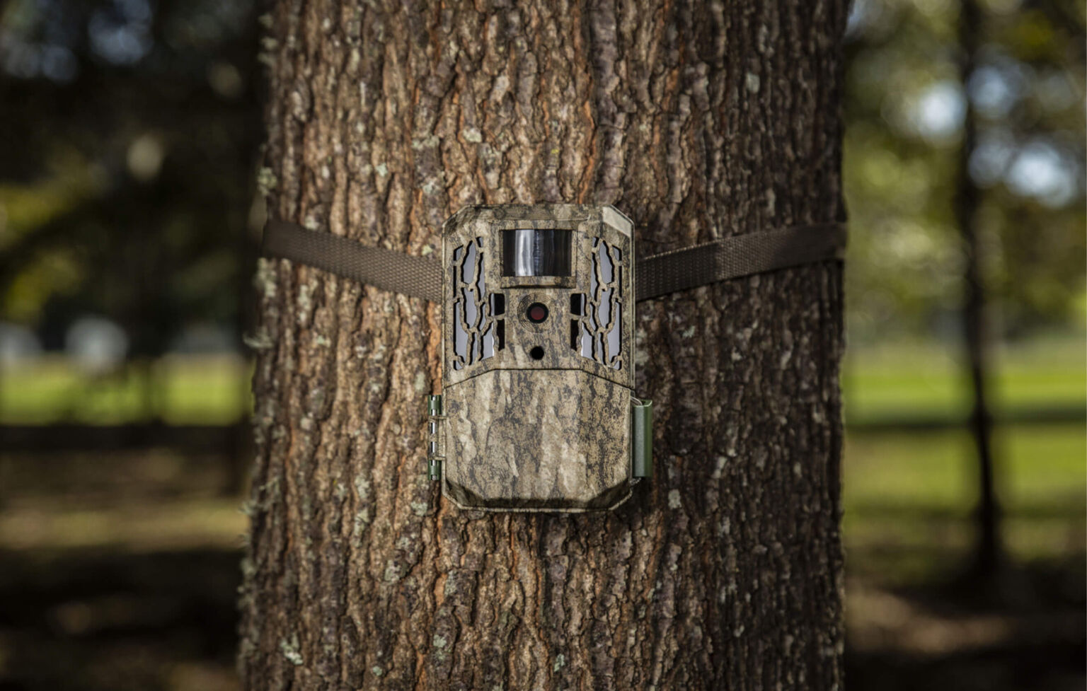 Buy Mug Shot Trail Camera Primos Hunting