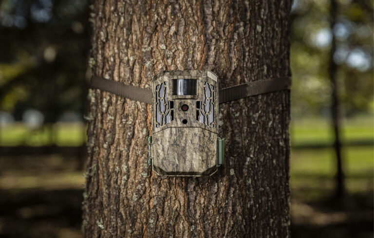 Primos Trail Cameras