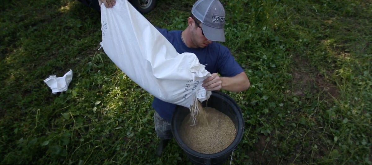 Food Plots Blog