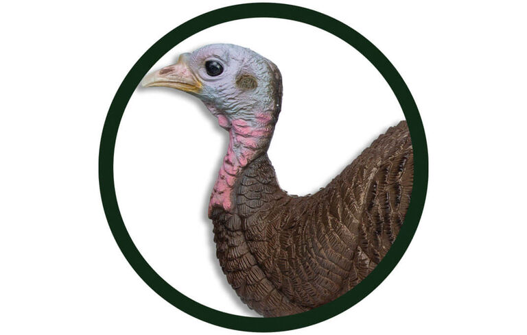 lil' Gobbstopper Hen Turkey Decoy