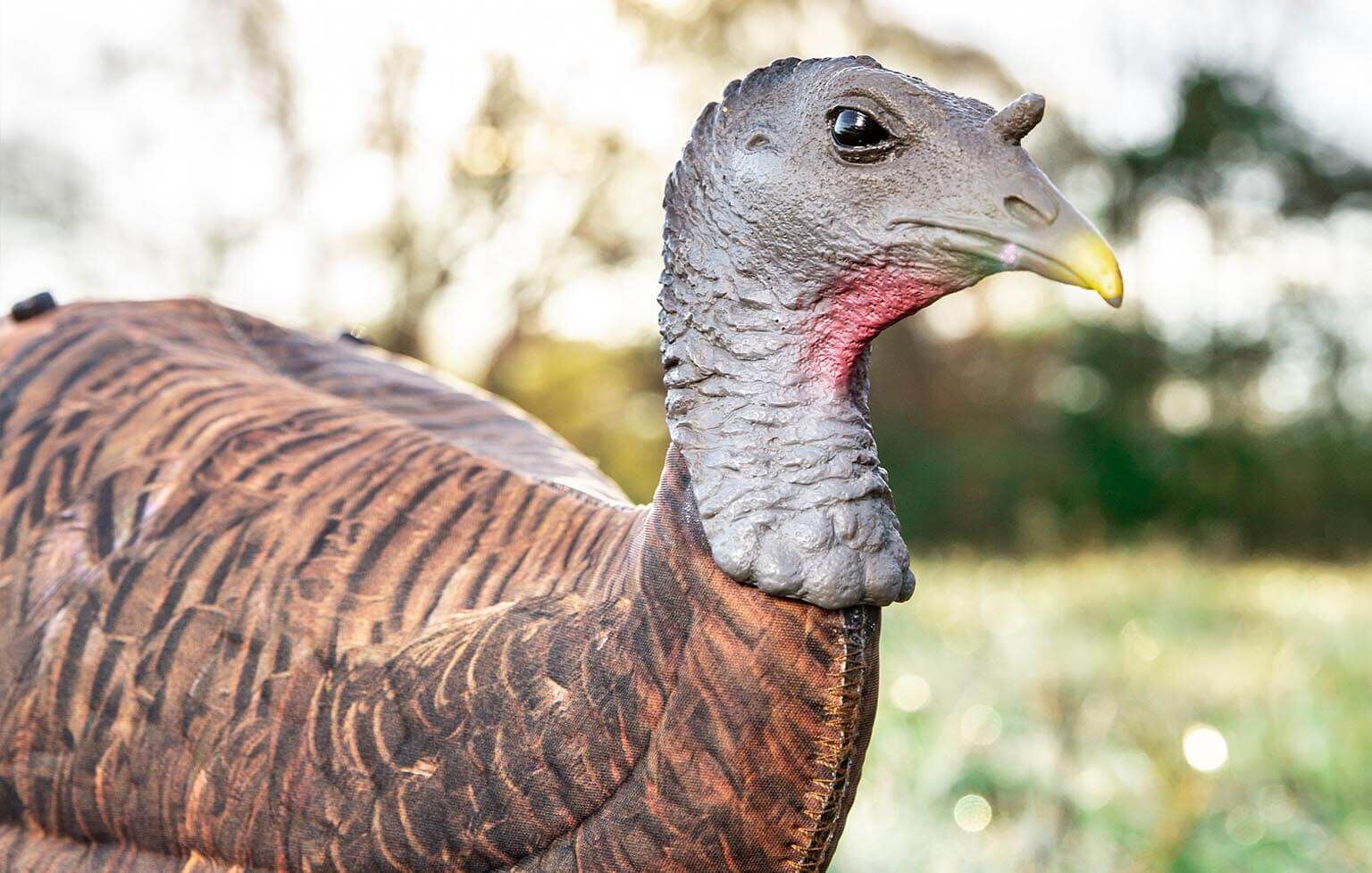 Buy Photoform Leading Hen Turkey Decoy - Primos Hunting