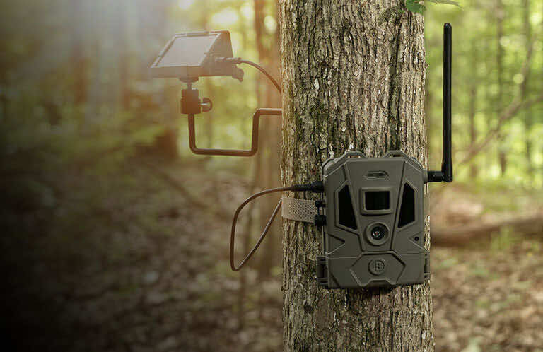 Bushnell CelluCore™ Trail Camera with Solar Panel Accessory attached to tree in the woods