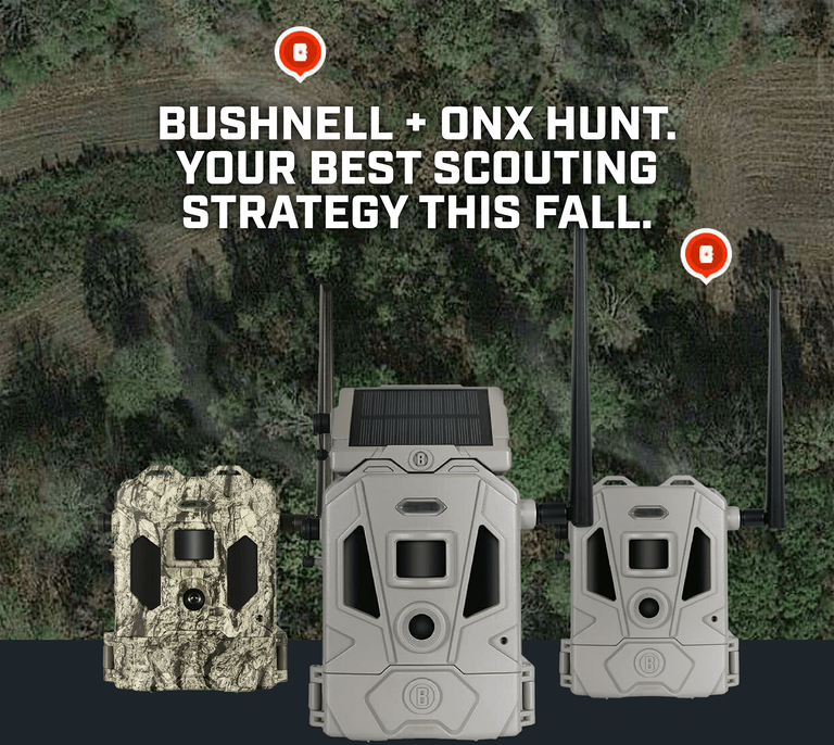 Lineup of Bushnell Trail Cameras on top of an areal view of woods