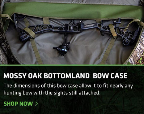 Image of Bow Case arrows in it