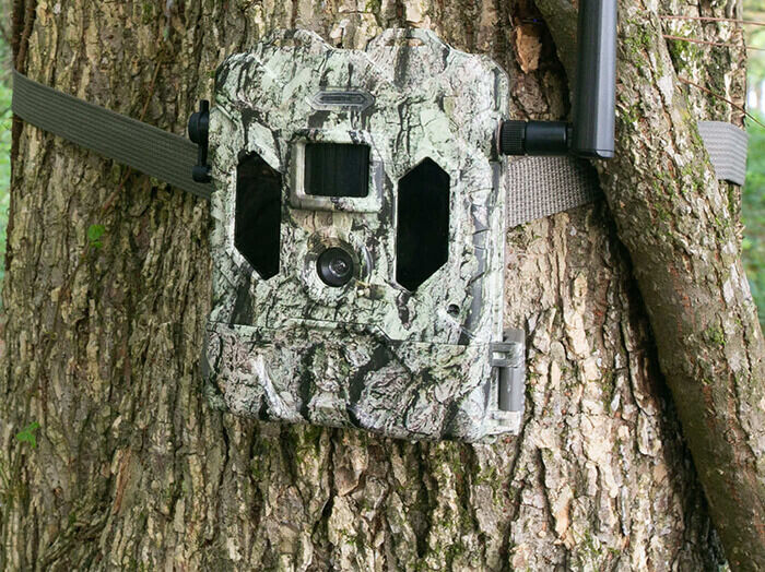 Game camera clearance