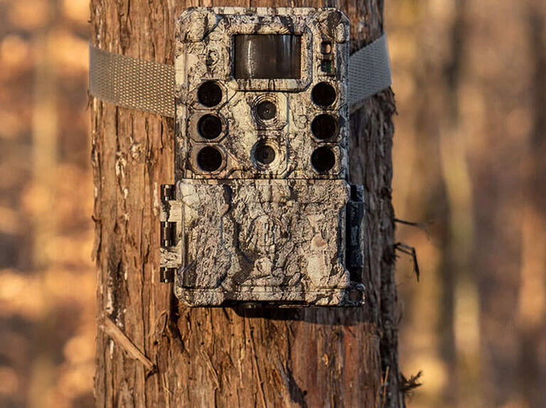 Non-Cellular Trail Camera attached to a tree