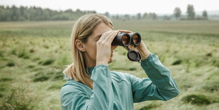 Birding Birding