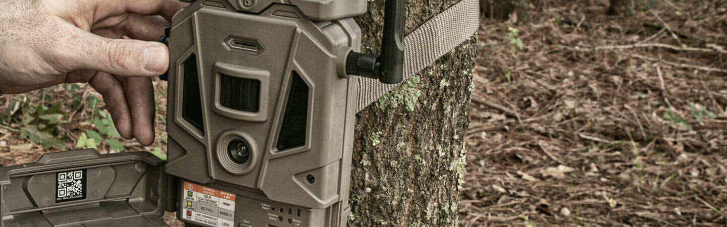 Bushnell wireless camera online