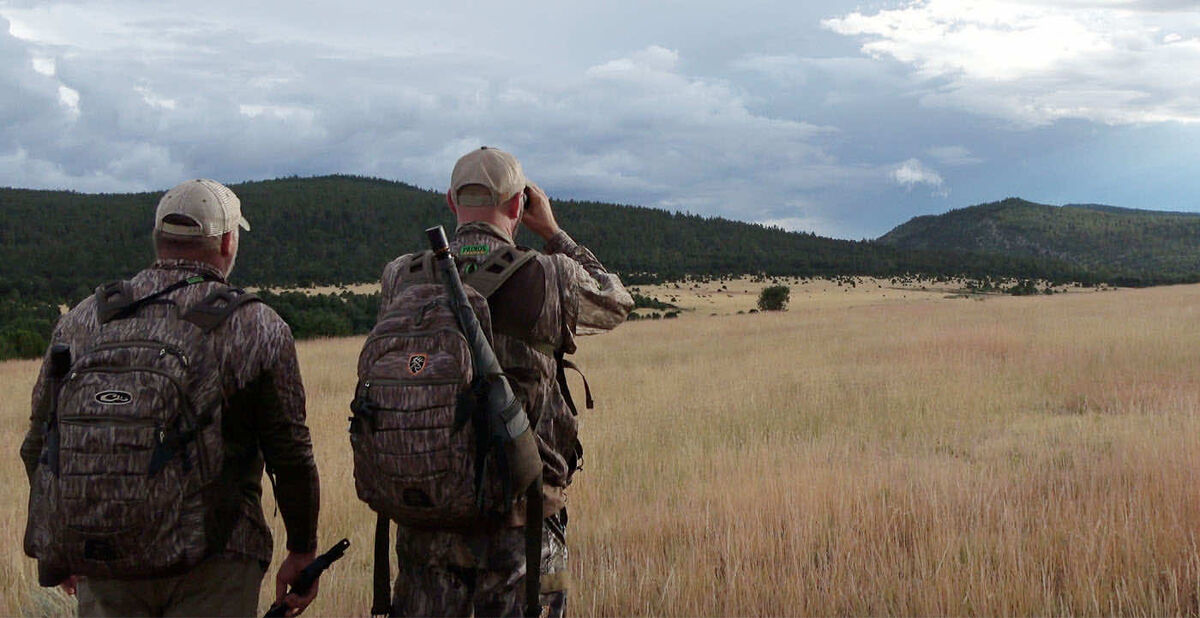 Food Plots Blog