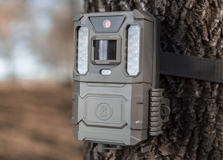 Trail Cameras Buyer's Guide