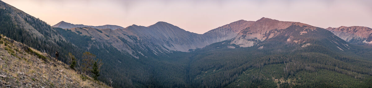 Mountain elk hunting