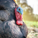 Photoform Strutter Turkey Decoy