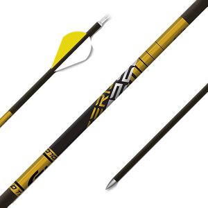 22 Series Pro Target Arrows