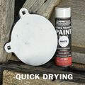 Steel Target Spray Paint