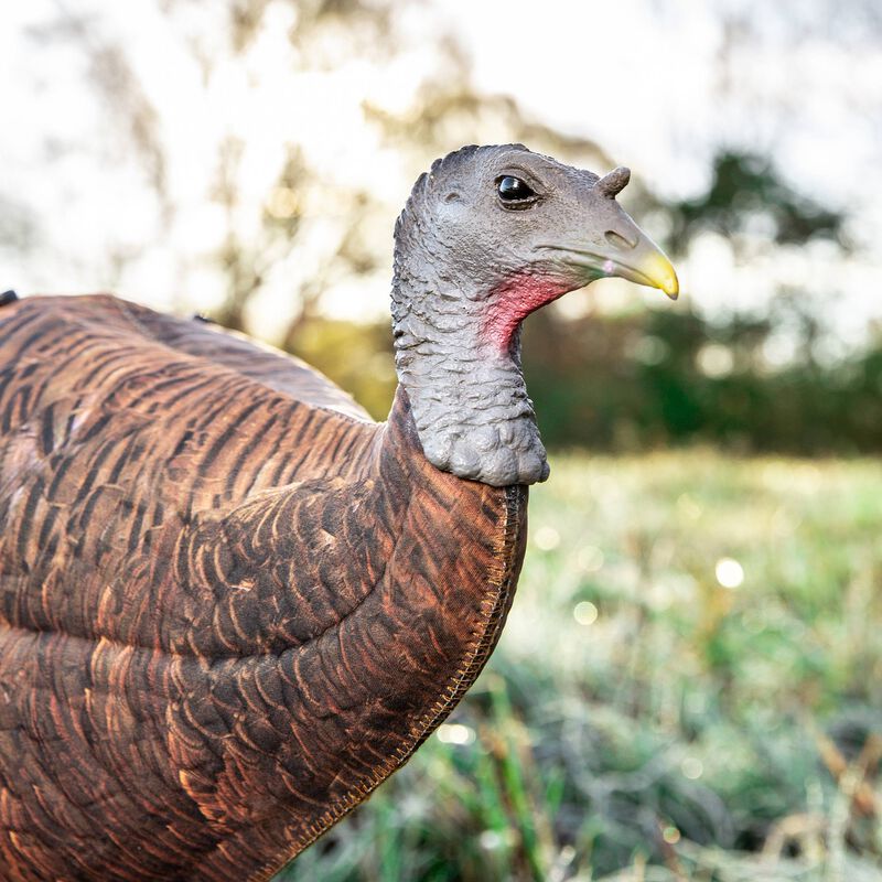 Buy Photoform Leading Hen Turkey Decoy - Primos Hunting