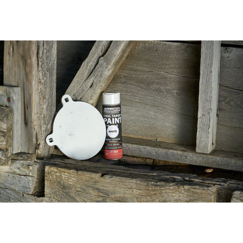 Steel Target Spray Paint