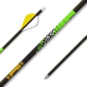 22 Series Plus Target Arrows