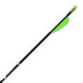 Fiberglass Arrow Youth Arrows