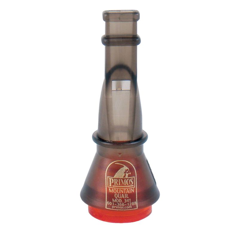 Mountain Quail Mountain Quail