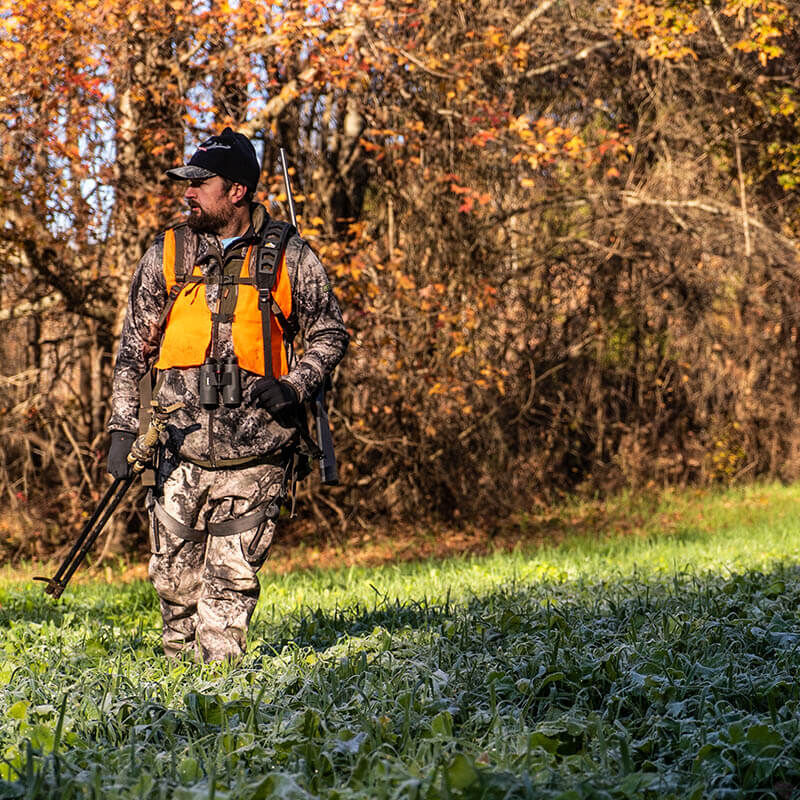 Take Out Seed Brassica Blend 1.5 lb