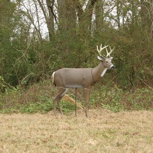 Scar Deer Decoy Scar Deer Decoy