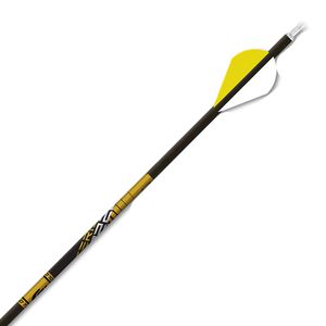22 Series Pro Target Arrows