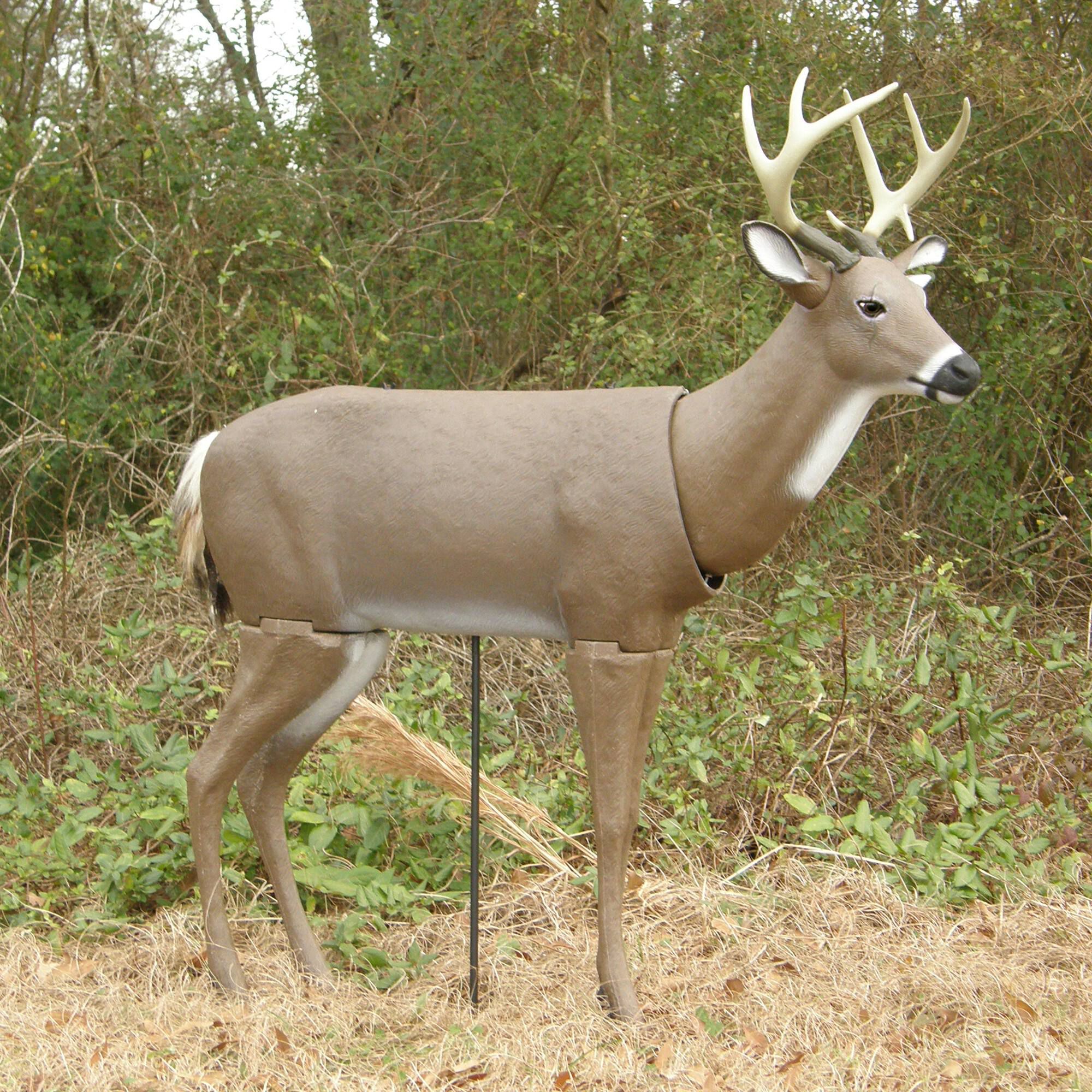 Buck decoy clearance