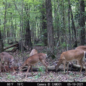 Take Out Red Zone Granular Mineral 4 lb Bag Take Out Red Zone Granular Mineral 4 lb Bag