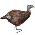 Photoform Leading Hen Turkey Decoy