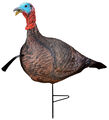 Photoform Jake Turkey Decoy