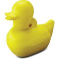 Duraseal&reg; Carnival Duck Challenge Target