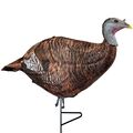Photoform Leading Hen Turkey Decoy
