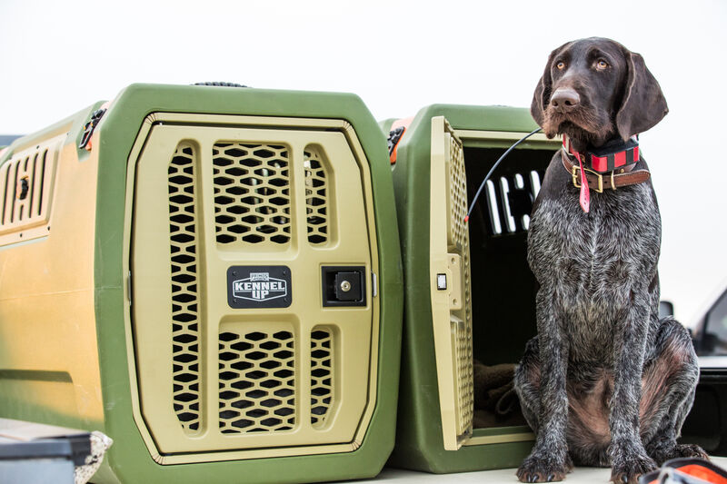 Buy KennelUP Dog Kennel Primos Hunting
