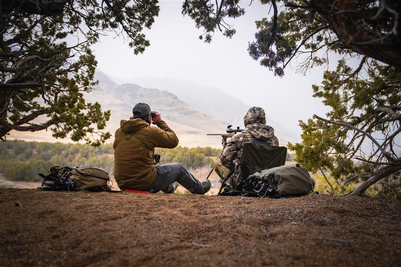predator hunting
