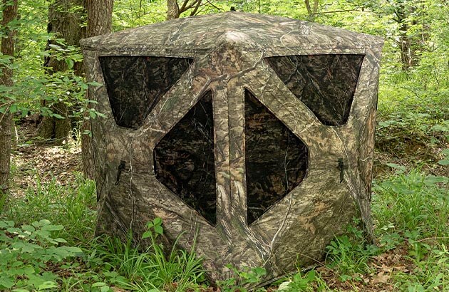 Ground Blind in the Tree line