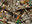 Stretch-Fit Camo Gloves