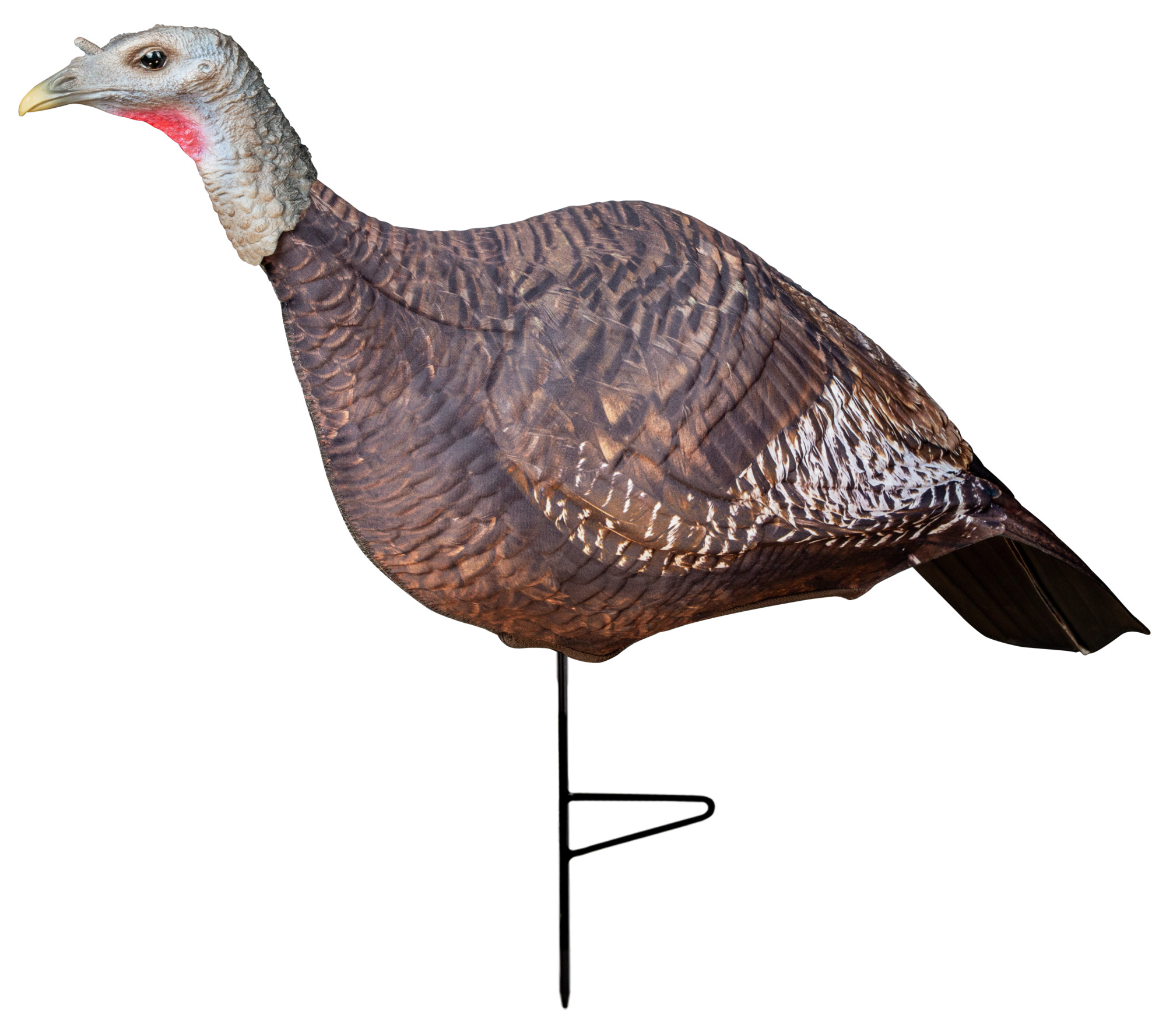 Download Buy Photoform Hen Turkey Decoy Primos Hunting